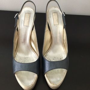 Roberto Cavalli Blue and Silver Platform Heels